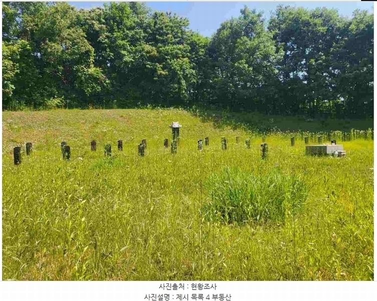 2024타경2895 경기도 양평군 지평면 수곡리 217-4 임야 경매 이미지