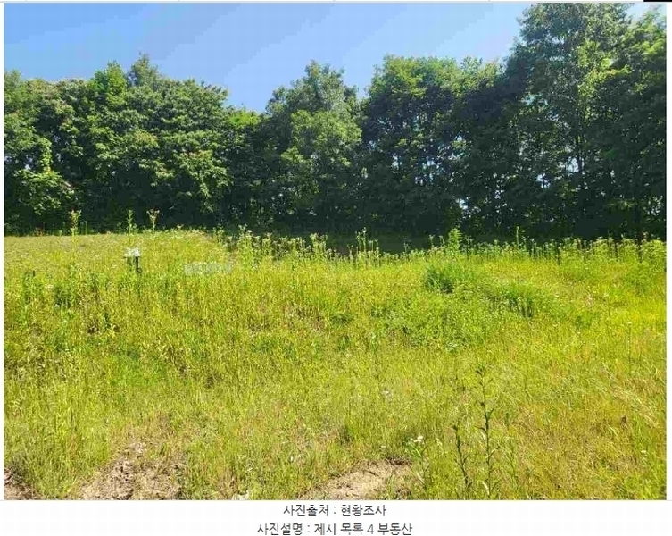 2024타경2895 경기도 양평군 지평면 수곡리 217-4 임야 경매 이미지