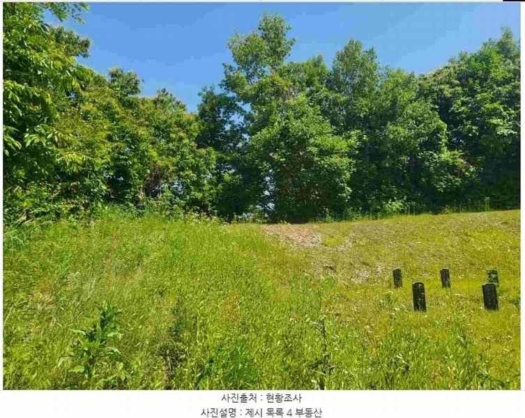 2024타경2895 경기도 양평군 지평면 수곡리 217-4 임야 경매 이미지