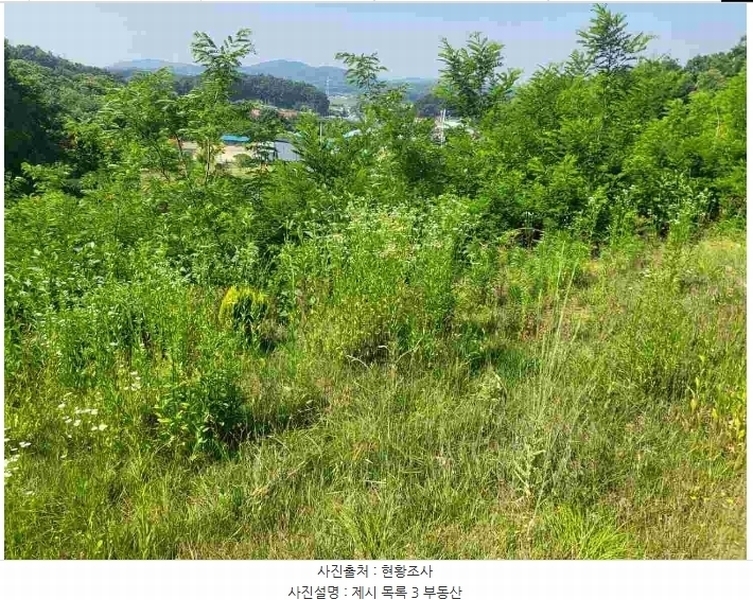 2024타경2895 경기도 양평군 지평면 수곡리 217-4 임야 경매 이미지