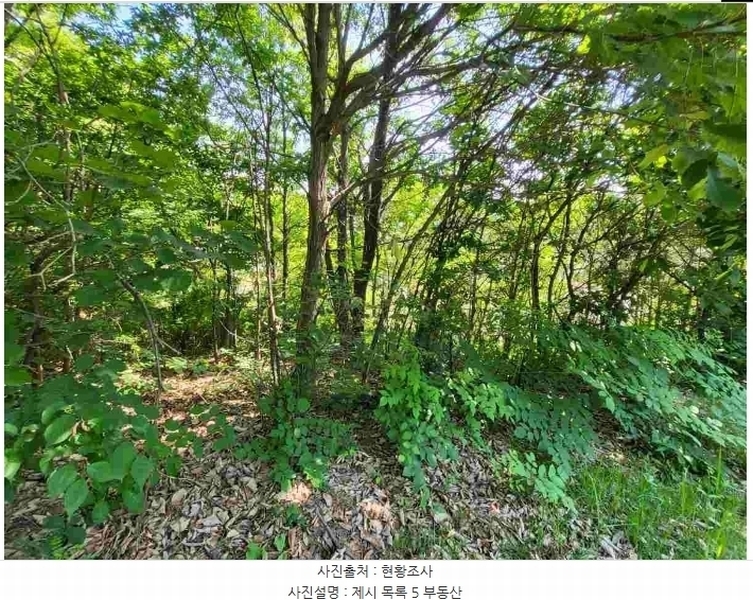 2024타경2895 경기도 양평군 지평면 수곡리 217-4 임야 경매 이미지