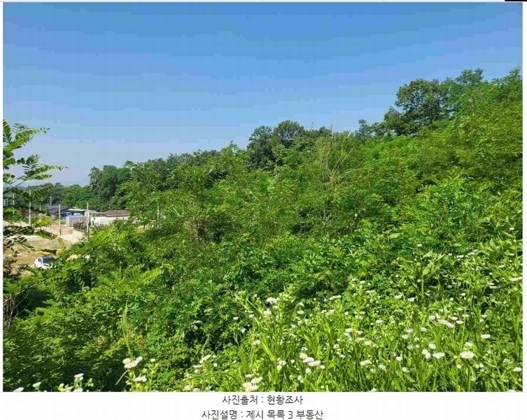 2024타경2895 경기도 양평군 지평면 수곡리 217-4 임야 경매 이미지