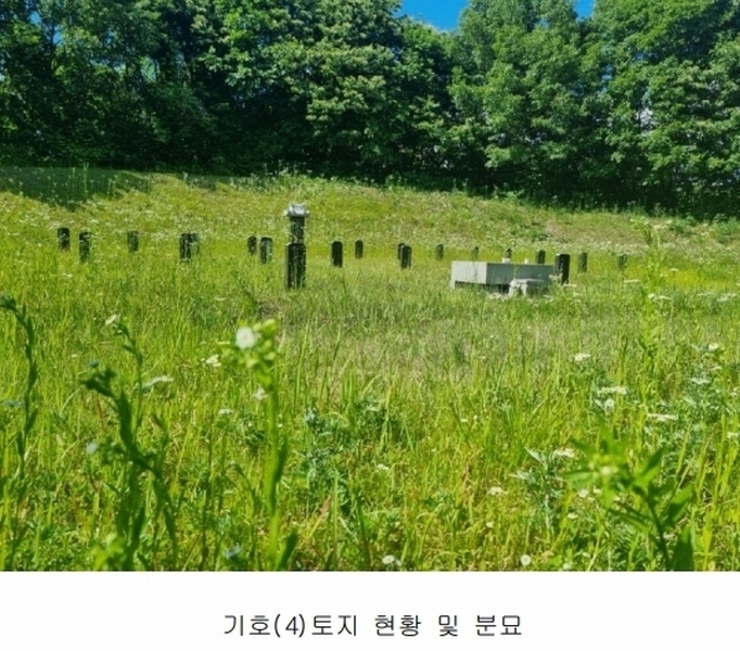 2024타경2895 경기도 양평군 지평면 수곡리 217-4 임야 경매 이미지