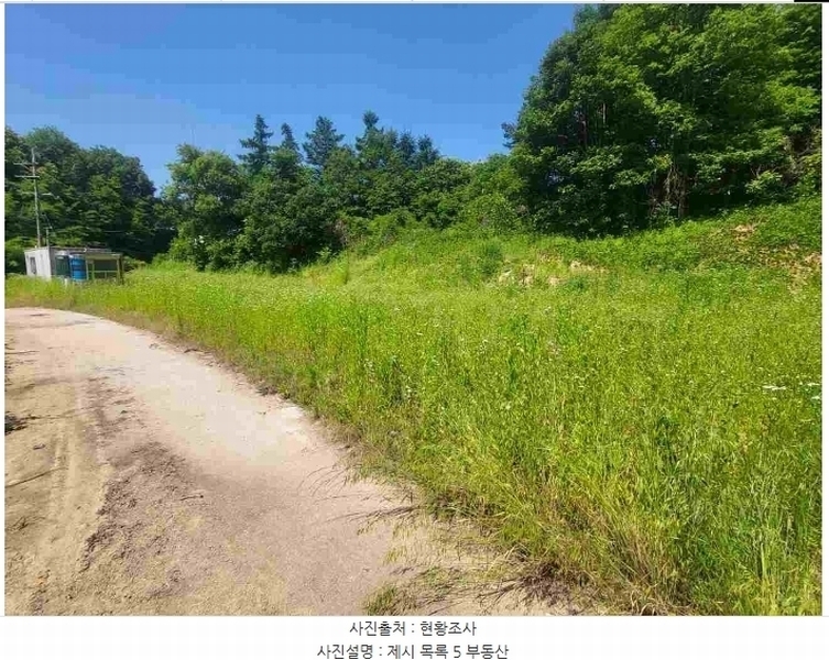 2024타경2895 경기도 양평군 지평면 수곡리 217-4 임야 경매 이미지