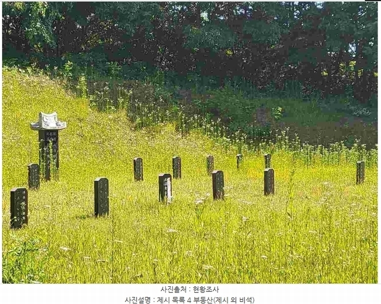 2024타경2895 경기도 양평군 지평면 수곡리 217-4 임야 경매 이미지