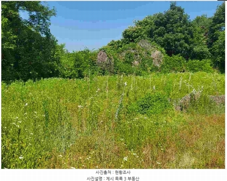 2024타경2895 경기도 양평군 지평면 수곡리 217-4 임야 경매 이미지
