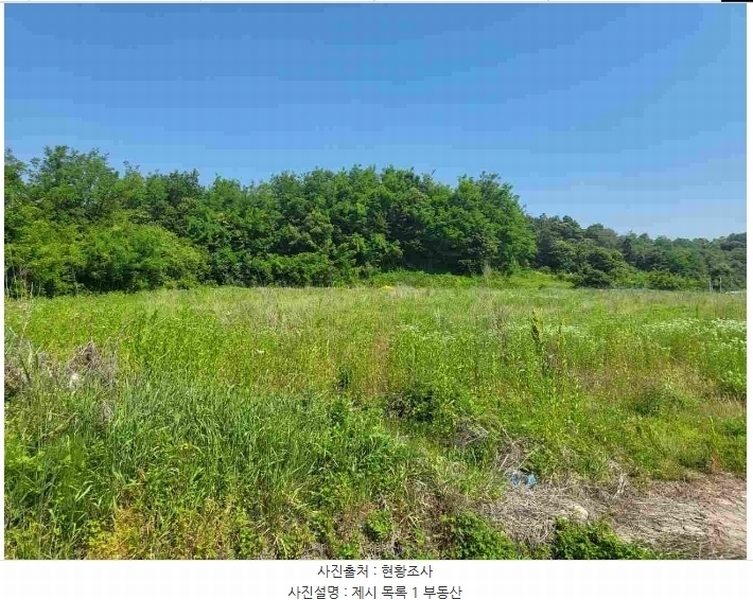 2024타경2895 경기도 양평군 지평면 수곡리 217-4 임야 경매 이미지
