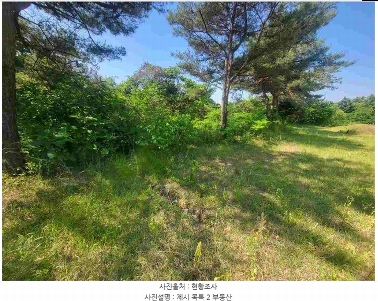 2024타경2895 경기도 양평군 지평면 수곡리 217-4 임야 경매 이미지