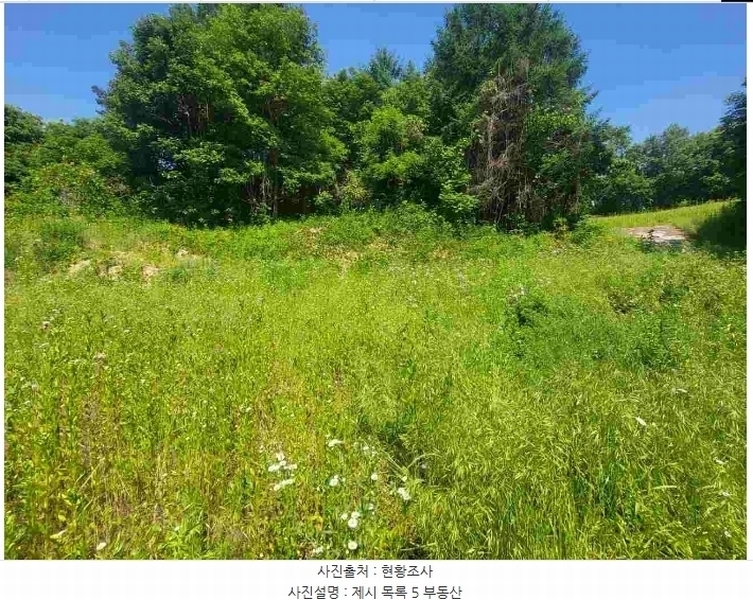 2024타경2895 경기도 양평군 지평면 수곡리 217-4 임야 경매 이미지