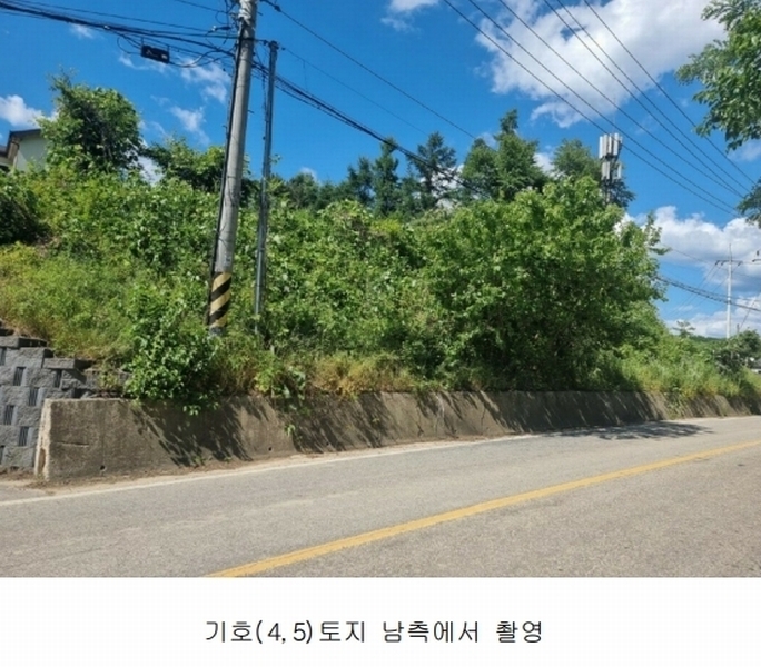 2024타경2895 경기도 양평군 지평면 수곡리 217-4 임야 경매 이미지