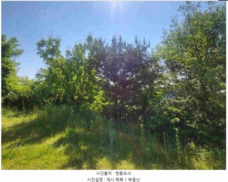 2024타경2895 경기도 양평군 지평면 수곡리 217-4 임야 경매 이미지