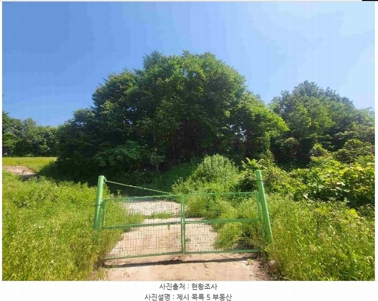 2024타경2895 경기도 양평군 지평면 수곡리 217-4 임야 경매 이미지