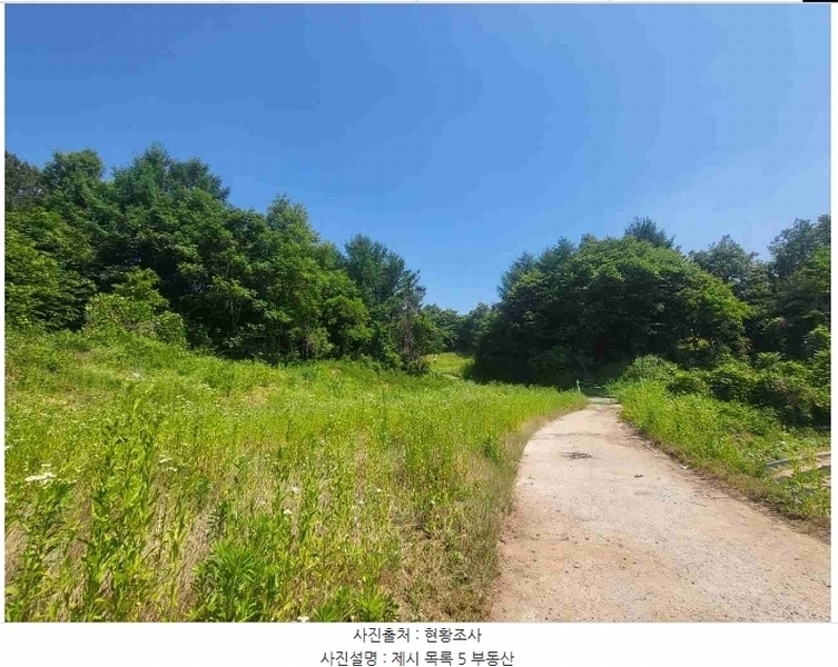 2024타경2895 경기도 양평군 지평면 수곡리 217-4 임야 경매 이미지