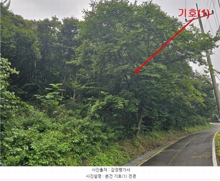 2024타경4419 경기도 양평군 강상면 송학리 산74-10 임야 경매 이미지