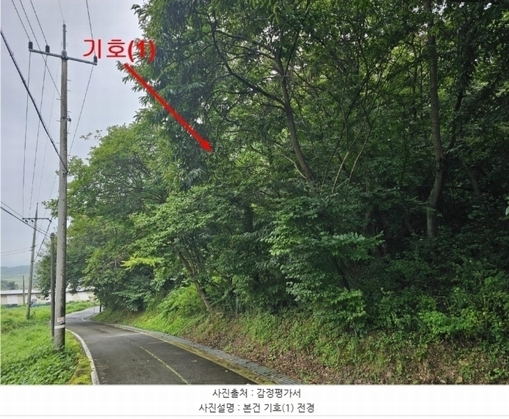2024타경4419 경기도 양평군 강상면 송학리 산74-10 임야 경매 이미지