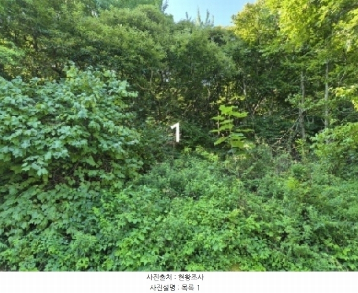 2024타경4419 경기도 양평군 강상면 송학리 산74-10 임야 경매 이미지