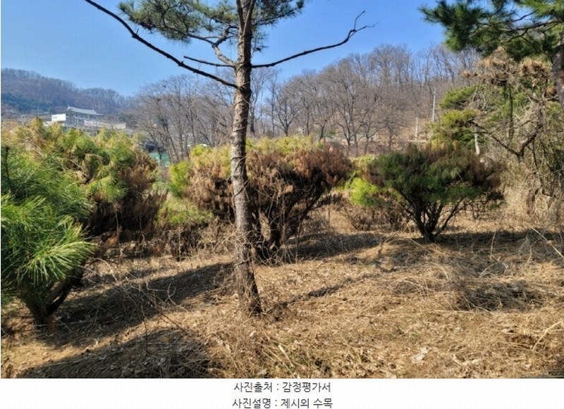 2024타경30586 경기도 이천시 관고동 148 농지 경매 이미지