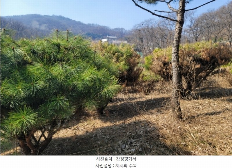 2024타경30586 경기도 이천시 관고동 148 농지 경매 이미지