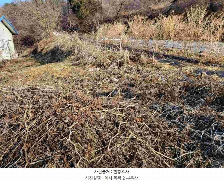 2024타경31381 경기도 양평군 강하면 동오리 270-6 농지 경매 이미지