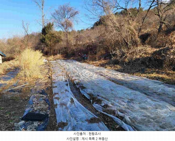2024타경31381 경기도 양평군 강하면 동오리 270-6 농지 경매 이미지