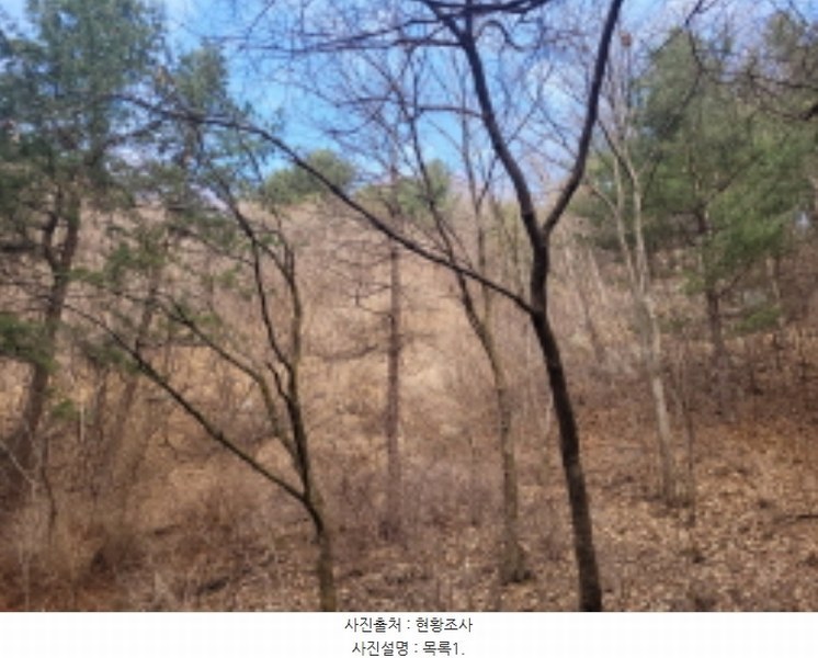 2024타경32575 경기도 양평군 서종면 문호리 12-16 임야 경매 이미지
