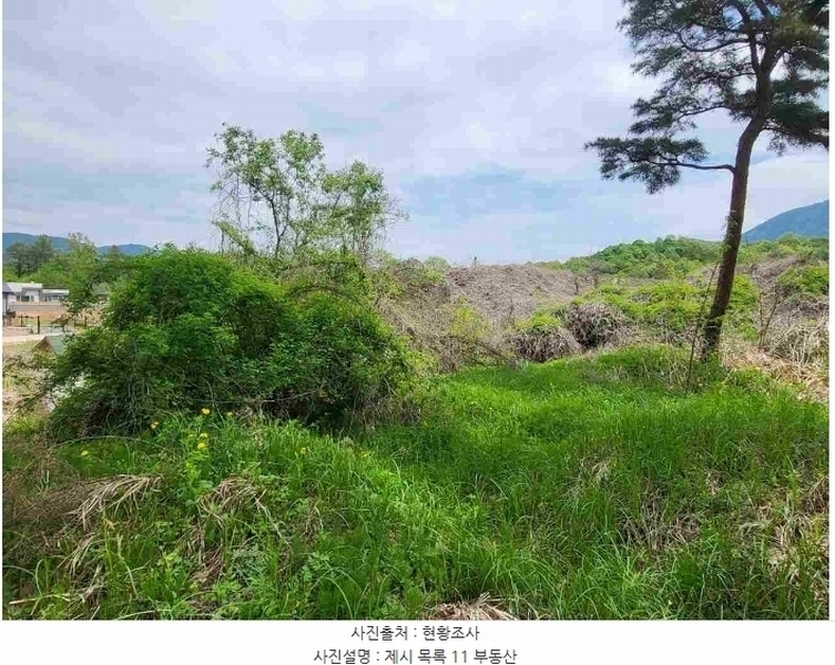 2024타경33264 경기도 양평군 개군면 공세리 139 농지 경매 이미지