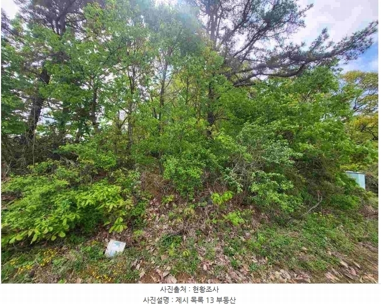 2024타경33264 경기도 양평군 개군면 공세리 139 농지 경매 이미지