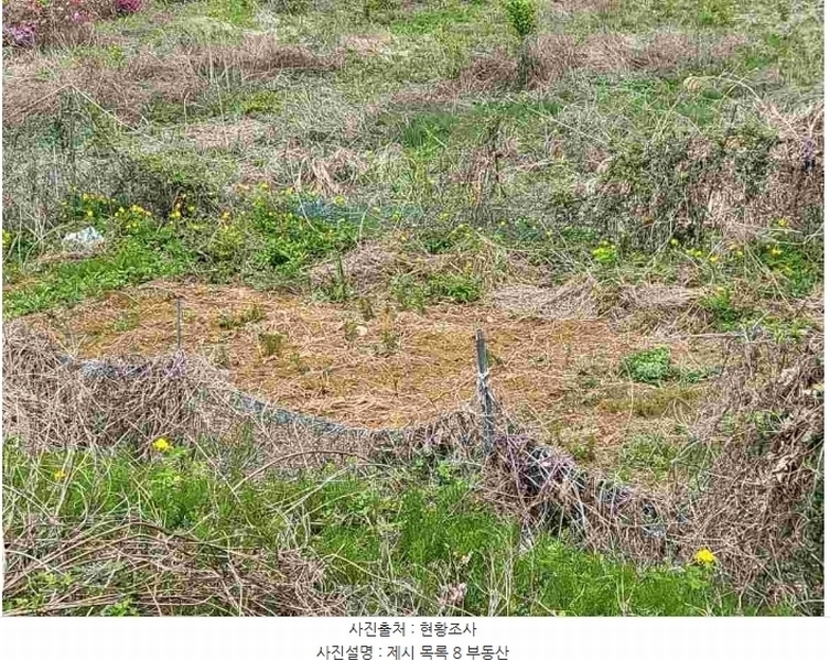 2024타경33264 경기도 양평군 개군면 공세리 139 농지 경매 이미지