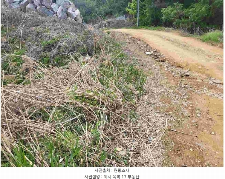 2024타경33264 경기도 양평군 개군면 공세리 139 농지 경매 이미지