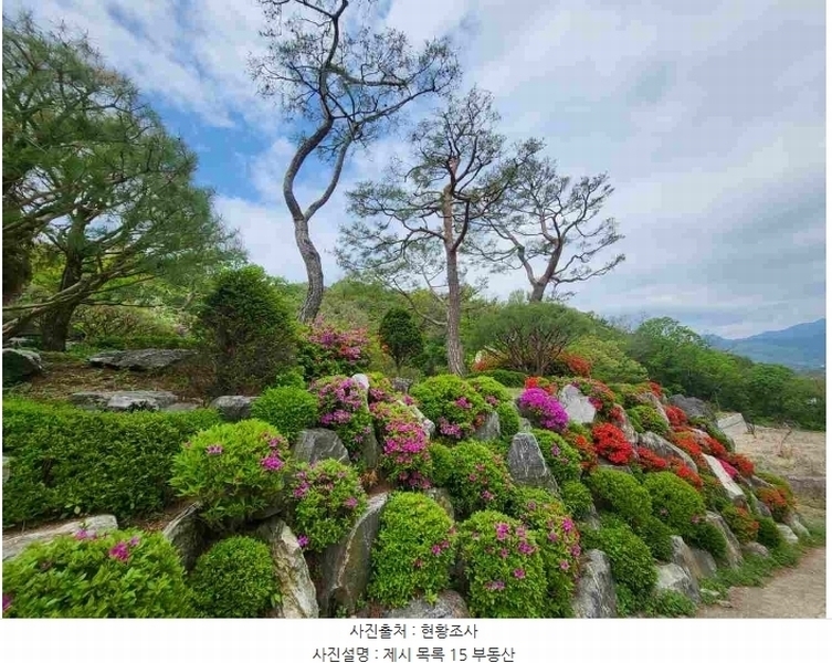 2024타경33264 경기도 양평군 개군면 공세리 139 농지 경매 이미지