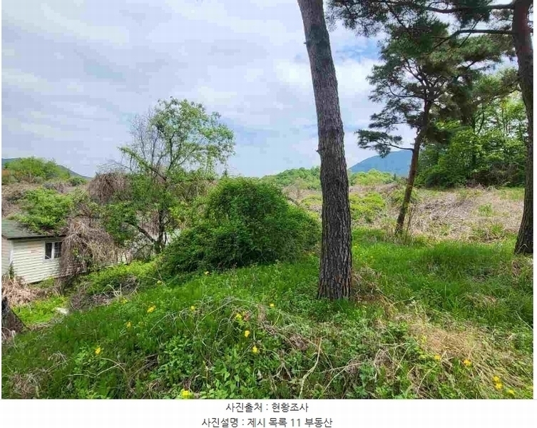 2024타경33264 경기도 양평군 개군면 공세리 139 농지 경매 이미지