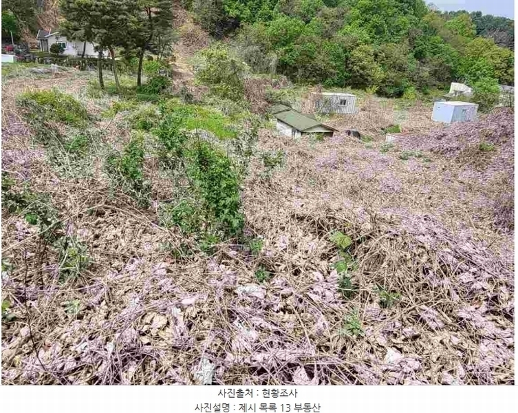 2024타경33264 경기도 양평군 개군면 공세리 139 농지 경매 이미지