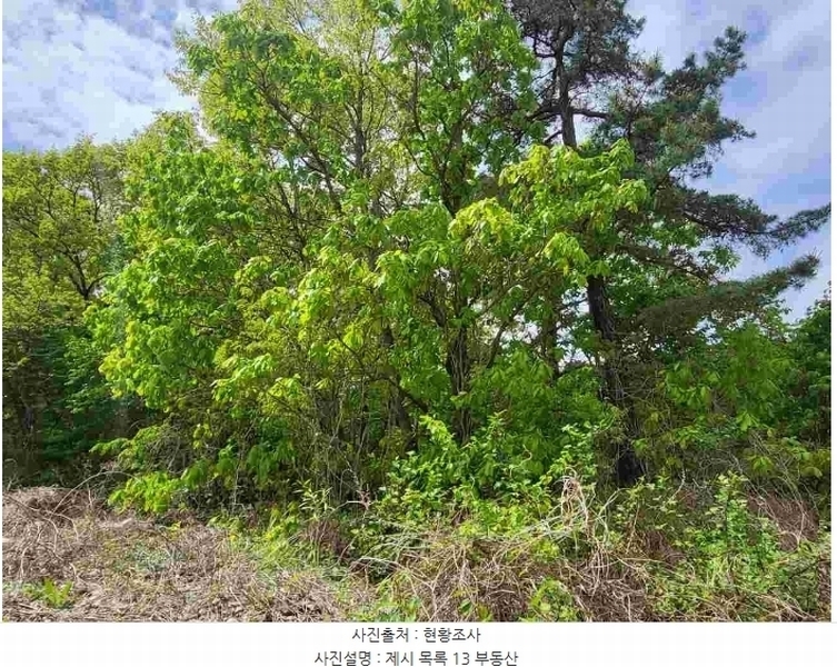 2024타경33264 경기도 양평군 개군면 공세리 139 농지 경매 이미지