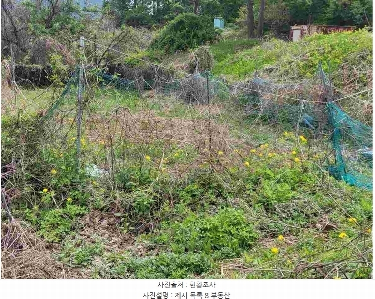 2024타경33264 경기도 양평군 개군면 공세리 139 농지 경매 이미지