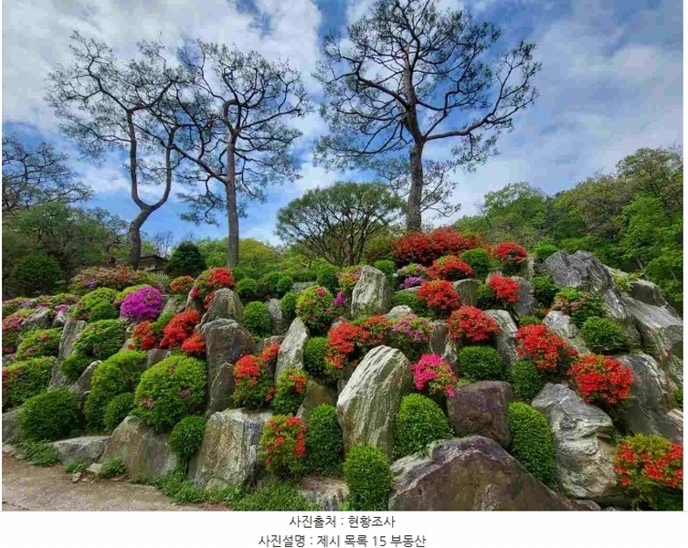 2024타경33264 경기도 양평군 개군면 공세리 139 농지 경매 이미지