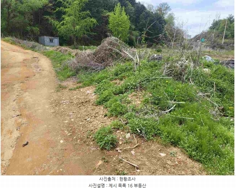 2024타경33264 경기도 양평군 개군면 공세리 139 농지 경매 이미지