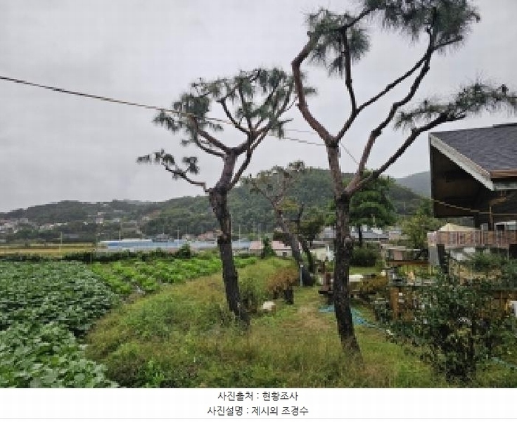2024타경33684 경기도 양평군 옥천면 신복리 463-2 주택 경매 이미지