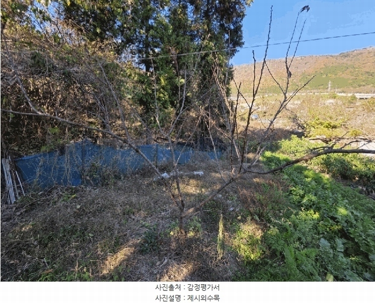 2025타경11502 경상남도 창원시 진해구 경화동 1371-1 농지 경매 이미지
