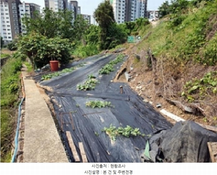 2025타경11502 경상남도 창원시 진해구 경화동 1371-1 농지 경매 이미지