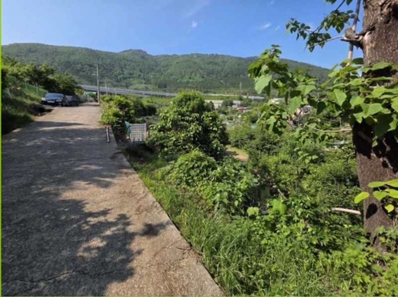 2025타경11502 경상남도 창원시 진해구 경화동 1371-1 농지 경매 이미지
