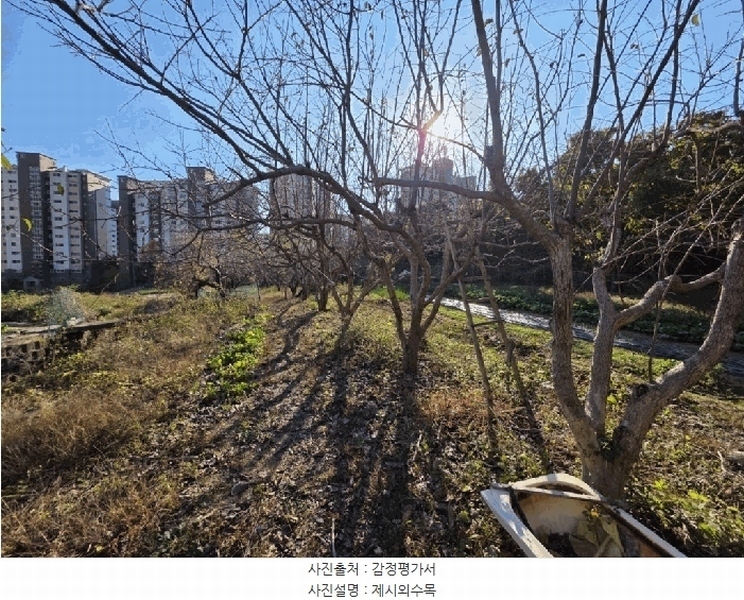 2025타경11502 경상남도 창원시 진해구 경화동 1371-1 농지 경매 이미지