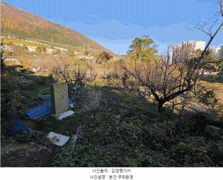 2025타경11502 경상남도 창원시 진해구 경화동 1371-1 농지 경매 이미지