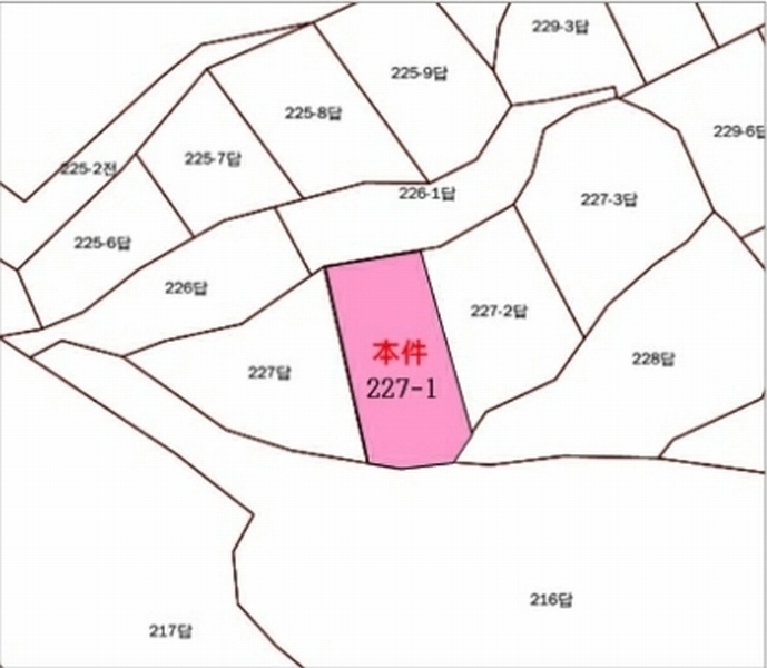 2024타경34793 경기도 이천시 장록동 227-1 농지 경매 이미지