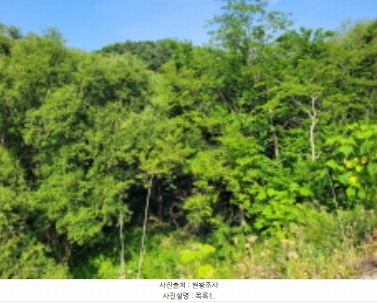 2024타경35000 경기도 양평군 서종면 정배리 76 농지 경매 이미지