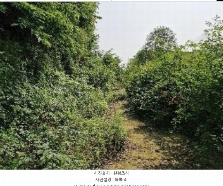 2024타경35543 경기도 양평군 서종면 문호리 38-32 임야 경매 이미지