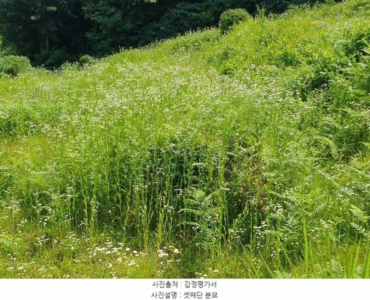 2024타경35642 경기도 양평군 양서면 도곡리 산54-6 임야 경매 이미지