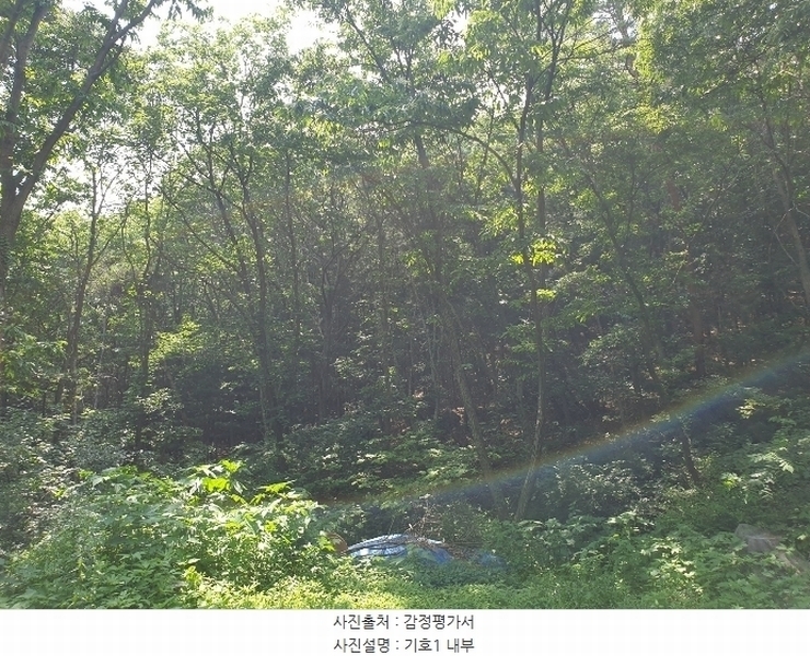 2024타경35642 경기도 양평군 양서면 도곡리 산54-6 임야 경매 이미지