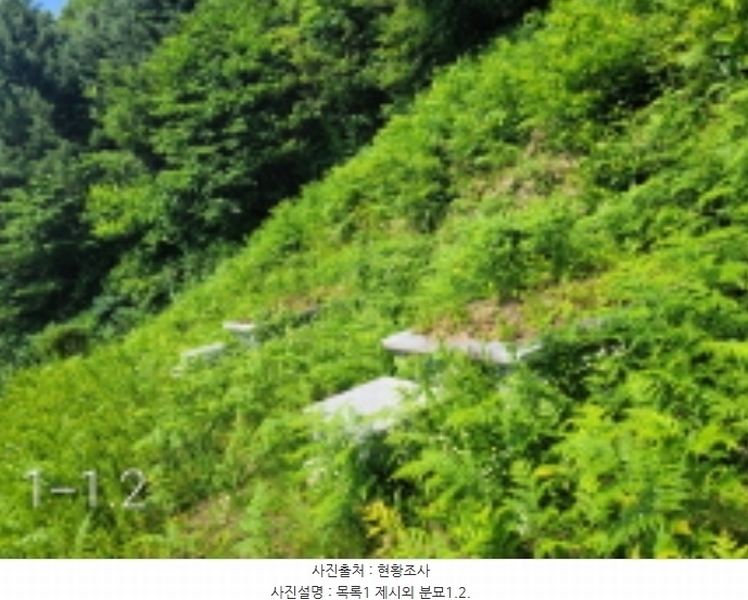2024타경35642 경기도 양평군 양서면 도곡리 산54-6 임야 경매 이미지