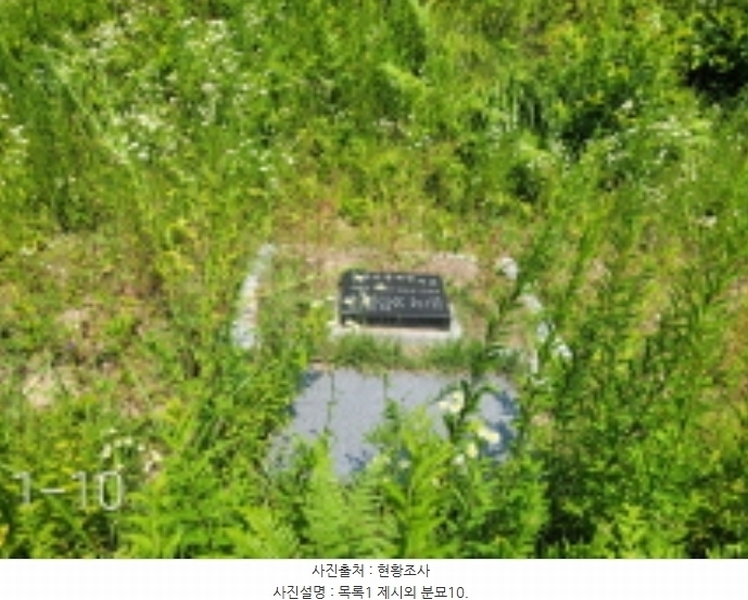 2024타경35642 경기도 양평군 양서면 도곡리 산54-6 임야 경매 이미지