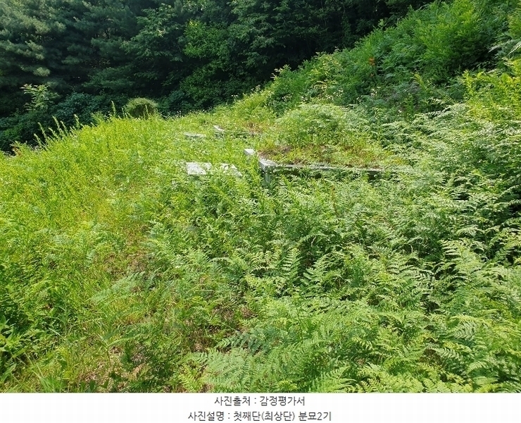 2024타경35642 경기도 양평군 양서면 도곡리 산54-6 임야 경매 이미지